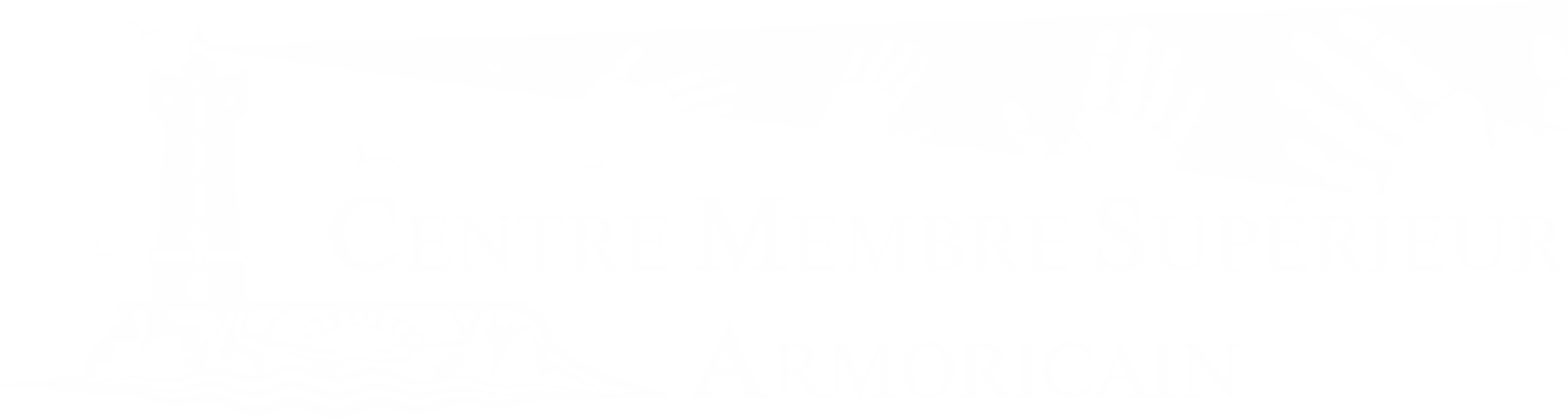 CMSA